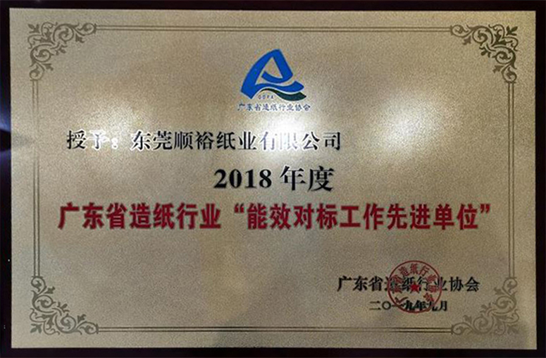 2018年度 广东省造纸行业“能效对标工作先进单位”